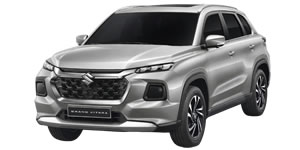 Grand-Vitara-Flipped